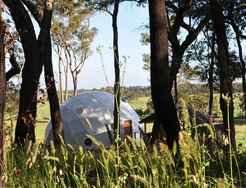 Mile End Glamping Pty Ltd - Accommodation Tasmania 2