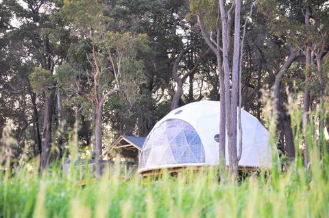 Mile End Glamping Pty Ltd - Accommodation Tasmania 1