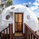 Mile End Glamping Pty Ltd - Accommodation Tasmania 0