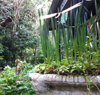 Lemonade Creek Cottages