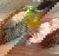 The Windy Mile - Accommodation Tasmania