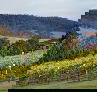 De Bortoli Winery  Restaurant - Accommodation Tasmania