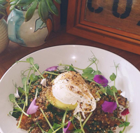 The Shak Organic Cafe  Wine Bar - Accommodation Tasmania