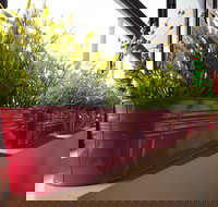 Dinoni - Accommodation Tasmania