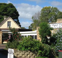 Tipsy Fig - Accommodation Tasmania