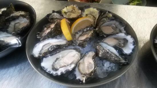 Tuncurry NSW Accommodation Tasmania