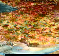 Al Pesto - Accommodation Tasmania