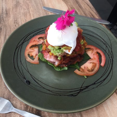 Raw Energy Burleigh Heads - Accommodation Tasmania 0