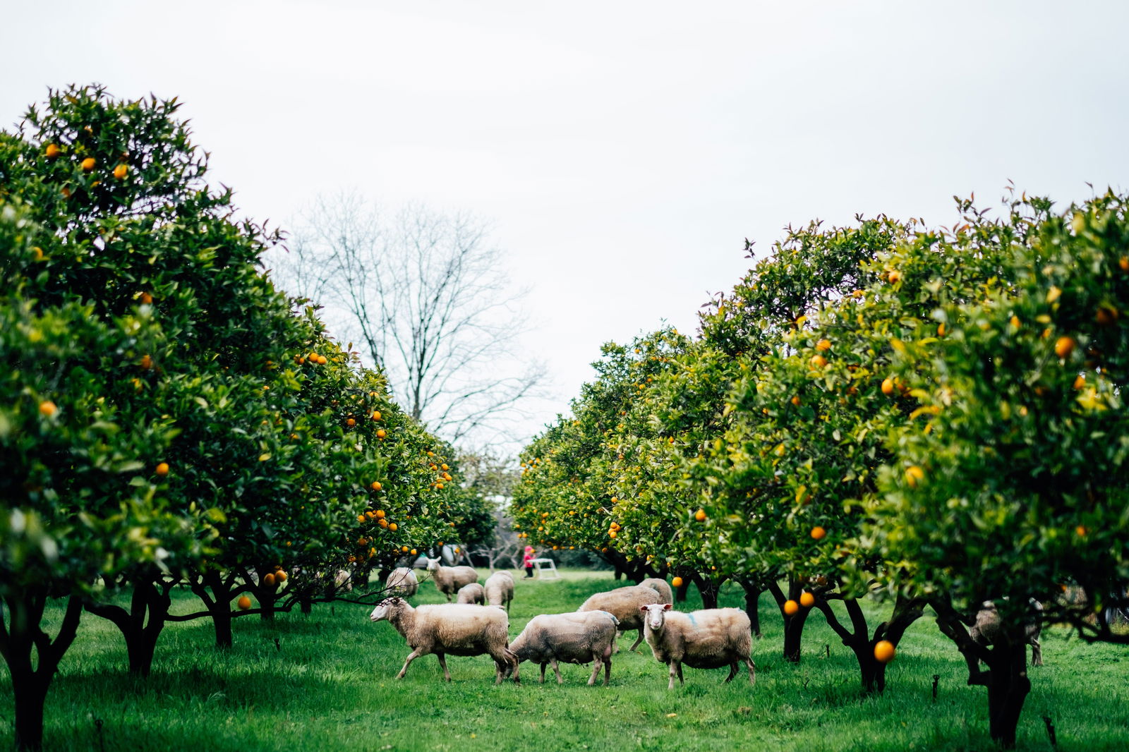 Accommodation Tasmania