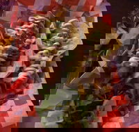 Cantina On Capri - Accommodation Tasmania