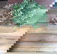 Double Mac - Accommodation Tasmania