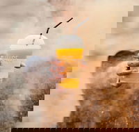 Little Caesars - Darlinghurst - Darlinghurst - Accommodation Tasmania