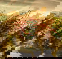 Tarana Indian Restaurant - Accommodation Tasmania