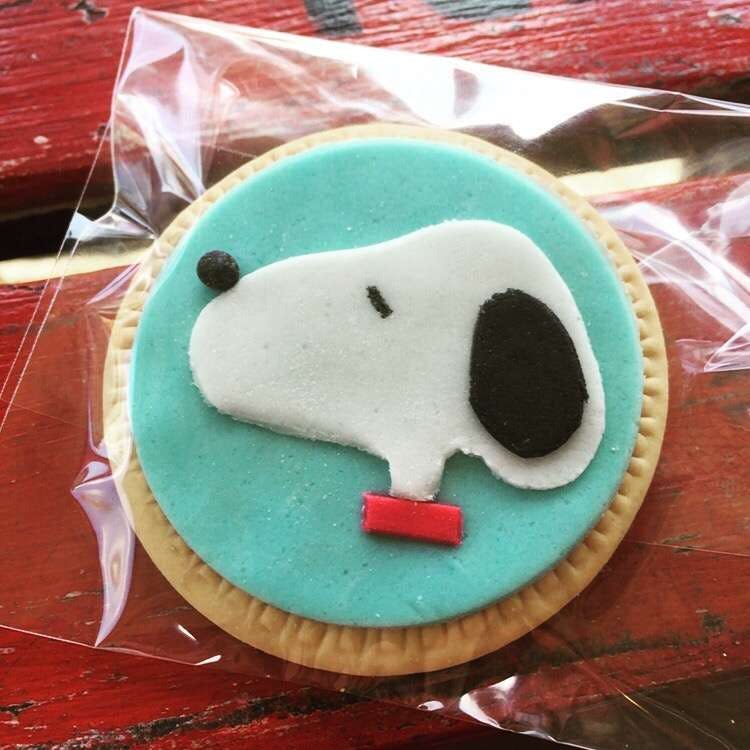 Thornleigh NSW Accommodation Tasmania