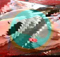 Curl the Whisker Cafe - Accommodation Tasmania