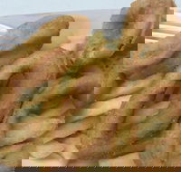 Holmview Central Bakery - Accommodation Tasmania