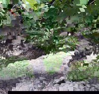 Nick Haselgrove Wines - Accommodation Tasmania
