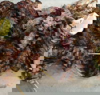 Pita Wrap It - Accommodation Tasmania