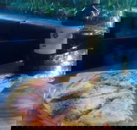 Trattoria Amici Italian Restaurant - Accommodation Tasmania