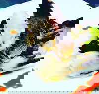 Dumpling Yum Cha Ballina - Accommodation Tasmania