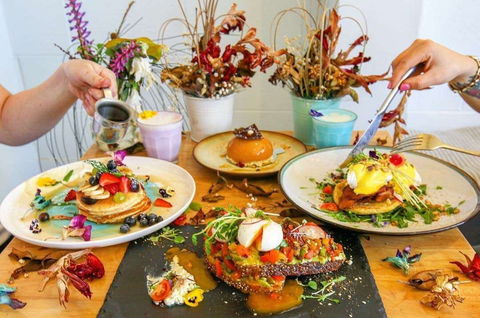 Lazy Panda - Accommodation Tasmania 0