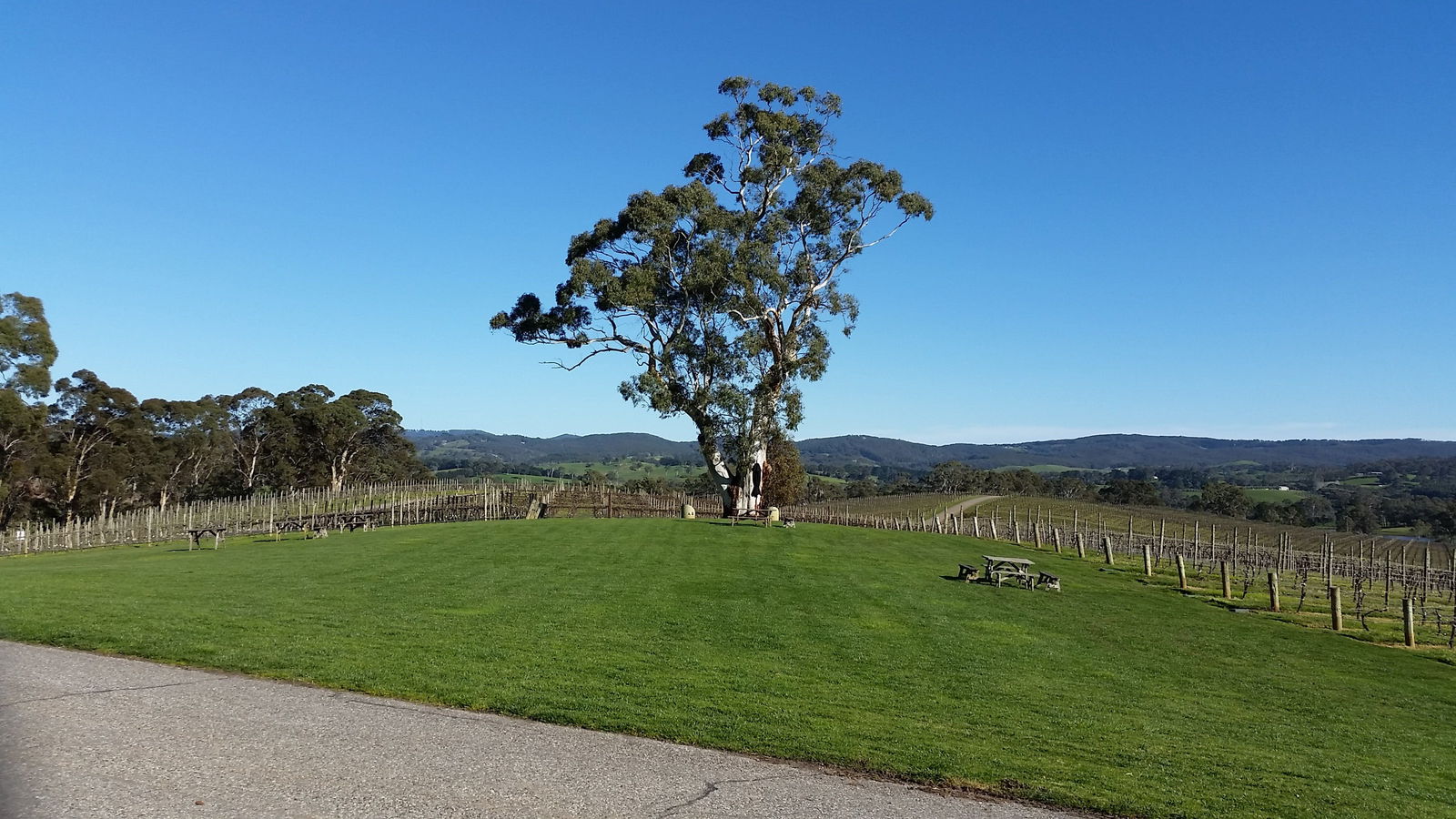 Accommodation Tasmania