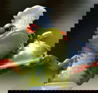 The Lillipad Cafe - Accommodation Tasmania