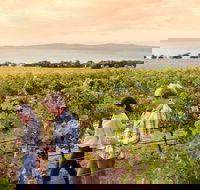Boston Bay Wines - Accommodation Tasmania