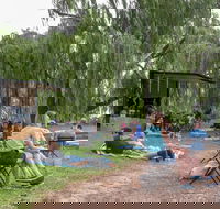 The Pop Inn by Wine Bar Co. - Accommodation Tasmania