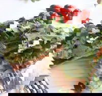 The Garden Tearooms  Cottage Nursery - Accommodation Tasmania