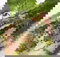 Ryan's Gourmet Kitchen - Accommodation Tasmania