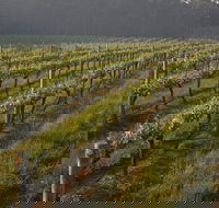 Cape Grace Wines - Accommodation Tasmania