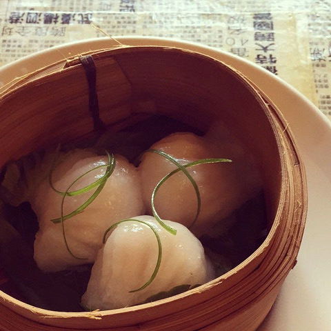 Dumplings & Beer - Potts Point - Accommodation Tasmania 0