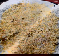 Man-O-Salwa - Clayton - Accommodation Tasmania