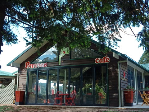 Poppies  Cafe - Accommodation Tasmania 0