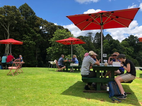 Poppies  Cafe - Accommodation Tasmania 1