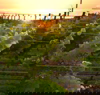 Bennetts on Bellarine Winery - Accommodation Tasmania