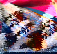 Donut King - Altona Meadows - Accommodation Tasmania