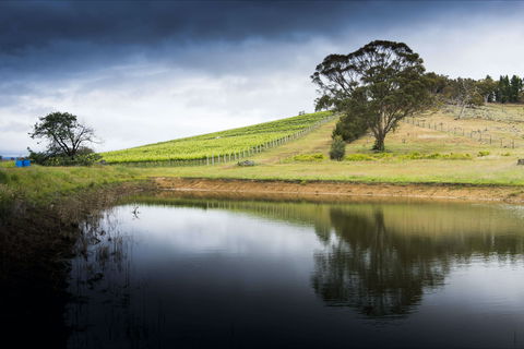 Mount Majura Vineyard - Accommodation Tasmania 1
