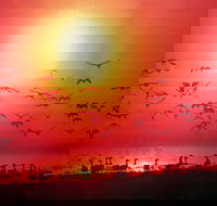 TINH and LAN Vietnamese Restaurant - Accommodation Tasmania