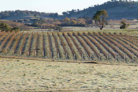 Patina Wines - Accommodation Tasmania 0