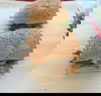 Taylor's Seafood - Accommodation Tasmania