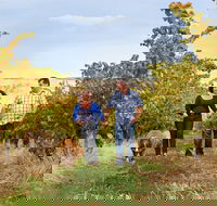 WayWood Wines - Accommodation Tasmania