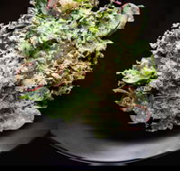 Arthur Waterhouse Lounge - Accommodation Tasmania