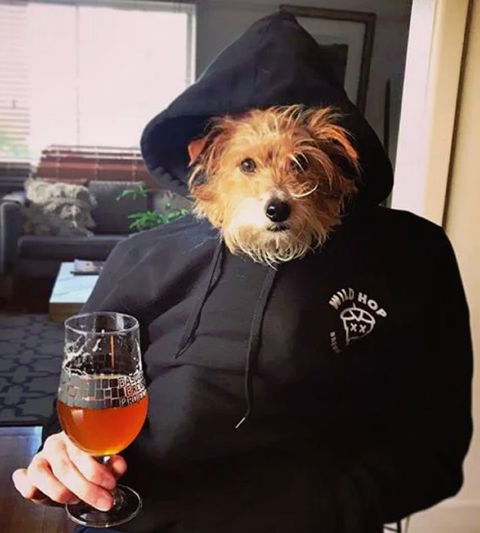 Wild Hop Brewing Company - Accommodation Tasmania 1