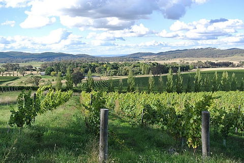 Sassy Wines - Accommodation Tasmania 0