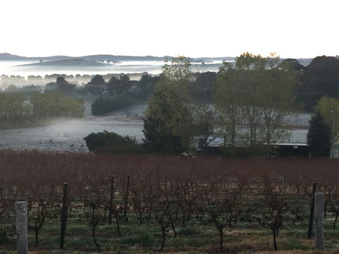 Sassy Wines - Accommodation Tasmania 2