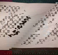 Bubba Pizza - Mount Barker - Accommodation Tasmania