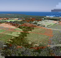 Wise Wine - Accommodation Tasmania