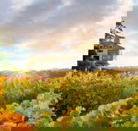 Hahndorf Hill Winery - Accommodation Tasmania